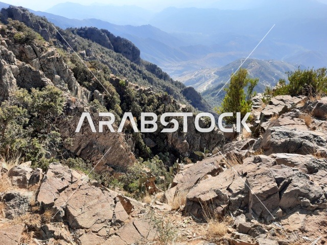 الأعشاب والأشجار والنباتات الخضراء في جبال السودة في منطقة عسير، صورة جوية للبيئة الجبلية والهضاب والمرتفعات، مشهد السماء فوق المناظر الطبيعية في منتزه السودة، أماكن ومناطق سياحية طبيعية مشهورة في المملكة العربية السعودية