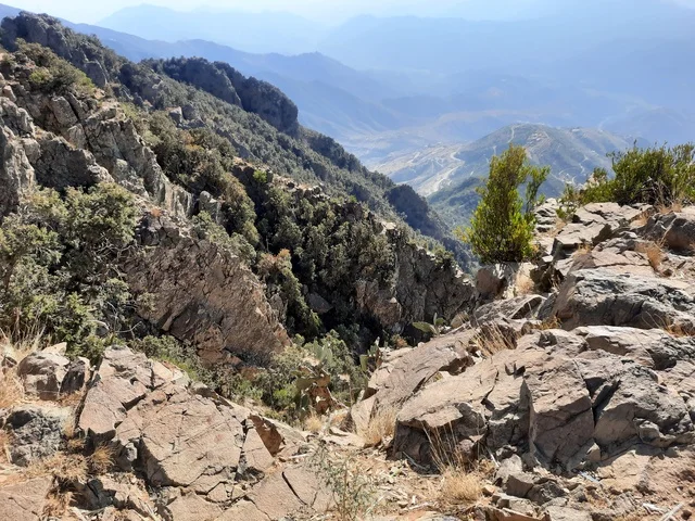 الأعشاب والأشجار والنباتات الخضراء في جبال السودة في منطقة عسير، صورة جوية للبيئة الجبلية والهضاب والمرتفعات، مشهد السماء فوق المناظر الطبيعية في منتزه السودة، أماكن ومناطق سياحية طبيعية مشهورة في المملكة العربية السعودية