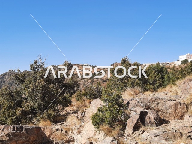 الأعشاب والأشجار والنباتات الخضراء في جبال السودة في منطقة عسير، صورة جوية للبيئة الجبلية والهضاب والمرتفعات، مشهد السماء فوق المناظر الطبيعية في منتزه السودة، أماكن ومناطق سياحية طبيعية مشهورة في المملكة العربية السعودية