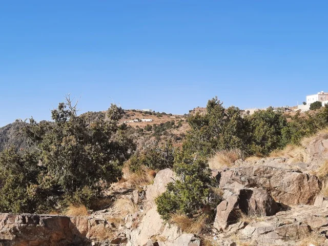 الأعشاب والأشجار والنباتات الخضراء في جبال السودة في منطقة عسير، صورة جوية للبيئة الجبلية والهضاب والمرتفعات، مشهد السماء فوق المناظر الطبيعية في منتزه السودة، أماكن ومناطق سياحية طبيعية مشهورة في المملكة العربية السعودية