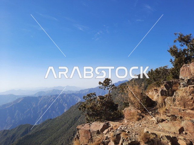 أماكن ومناطق سياحية طبيعية مشهورة في المملكة العربية السعودية، ىالأعشاب والأشجار والنباتات الخضراء في جبال السودة في منطقة عسير، صورة جوية للبيئة الجبلية والهضاب والمرتفعات، مشهد السماء فوق المناظر الطبيعية في منتزه السودة