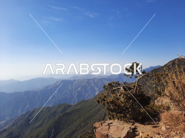 أماكن ومناطق سياحية طبيعية مشهورة في المملكة العربية السعودية، ىالأعشاب والأشجار والنباتات الخضراء في جبال السودة في منطقة عسير، صورة جوية للبيئة الجبلية والهضاب والمرتفعات، مشهد السماء فوق المناظر الطبيعية في منتزه السودة