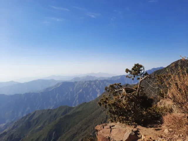 أماكن ومناطق سياحية طبيعية مشهورة في المملكة العربية السعودية، ىالأعشاب والأشجار والنباتات الخضراء في جبال السودة في منطقة عسير، صورة جوية للبيئة الجبلية والهضاب والمرتفعات، مشهد السماء فوق المناظر الطبيعية في منتزه السودة