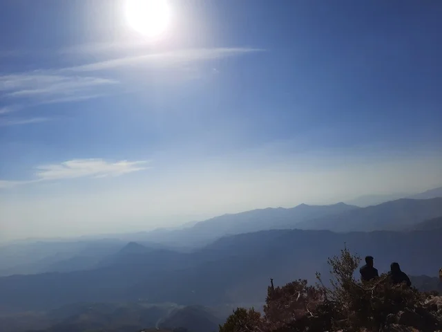 الأعشاب والأشجار والنباتات الخضراء في جبال السودة في منطقة عسير، صورة جوية للبيئة الجبلية والهضاب والمرتفعات، مشهد السماء فوق المناظر الطبيعية في منتزه السودة، أماكن ومناطق سياحية طبيعية مشهورة في المملكة العربية السعودية