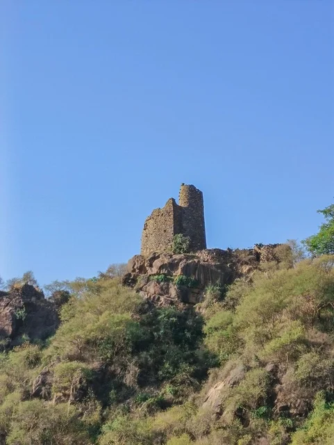 بيوت قديمة على سفح جبال الفيفاء، النباتات الخضراء والاشجار ,جبال الفيفاء في جازان جنوب المملكة العربية السعودية، الاماكن السياحية المشهورة في السعودية, الجبال والمرتفعات الجبلية, خلفية الطبيعة في جازان