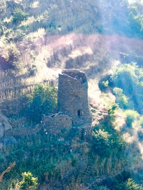 Old houses on the slopes of the Al-Fifa Mountains, green plants and trees, the Al-Fifa Mountains in Jazan, southern Saudi Arabia, famous tourist spots in Saudi Arabia, mountains and highlands, the natural backdrop in Jazan.