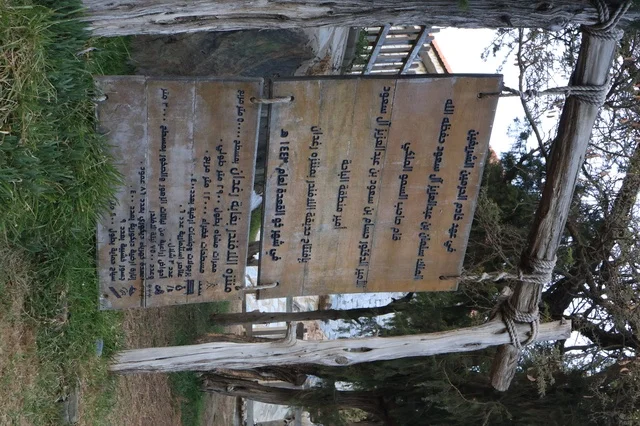 الاهتمام بالتشجير وزراعة النباتات الخضراء في مدن المملكة العربية السعودية، منتزه غابة رغدان في مدينة الباحة، أماكن طبيعية عائلية ترفيهية، قضاء وقت ممتع في الطبيعة والهواء الطلق