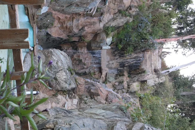 The interest in afforestation and planting green plants in the cities of the Kingdom of Saudi Arabia, the Raghadan Forest Park in the city of Al-Baha, natural family recreational places, spending enjoyable time in nature and the open air.