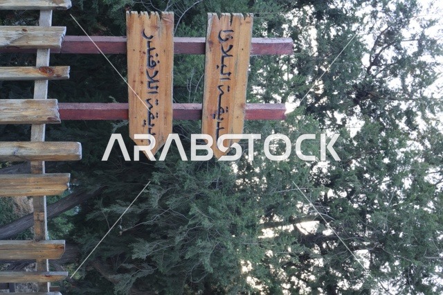 الاهتمام بالتشجير وزراعة النباتات الخضراء في مدن المملكة العربية السعودية، منتزه غابة رغدان في مدينة الباحة، أماكن طبيعية عائلية ترفيهية، قضاء وقت ممتع في الطبيعة والهواء الطلق