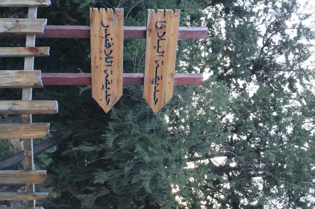 الاهتمام بالتشجير وزراعة النباتات الخضراء في مدن المملكة العربية السعودية، منتزه غابة رغدان في مدينة الباحة، أماكن طبيعية عائلية ترفيهية، قضاء وقت ممتع في الطبيعة والهواء الطلق