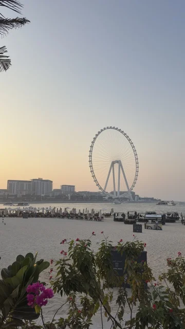 التقدم والنمو والتوسع العمراني، صورة لعجلة عين دبي بين المباني ، الفن الهندسي المعماري للمنشآت ، معالم دبي السياحية، الأبراج وناطحات السحاب في دولة الإمارات العربية المتحدة