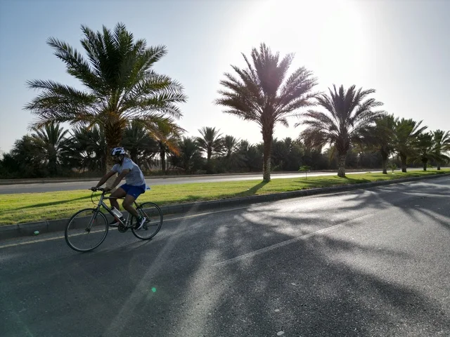 المعالم الطبيعية في مدينة تبوك، فعاليات وسباقات الدراجات، أنشطة بدنية متنوعة، حركة السيارات في الشوارع والطرق الاسفلتية المعبدة، الأماكن السياحية المشهورة في المملكة العربية السعودية ، المحافظة على الصحة واللياقة الجسدية