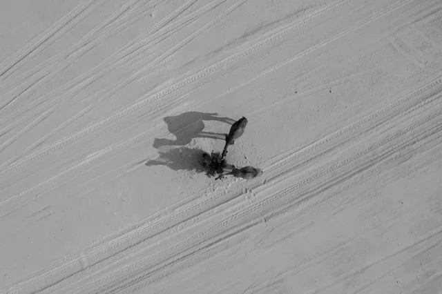 Camel breeding in nature reserves in desert areas, purebred camels moving through the deserts of the Kingdom of Saudi Arabia, aerial drone photography of beauty walking on the golden sands of the Arabian desert.