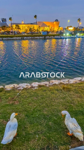 مناطق الرحلات والجولات البحرية الترفيهية, اطلالة على كورنيش الخبر في مدينة الدمام، الأماكن السياحية الساحلية المشهورة في المملكة العربية السعودية, استقطاب وجذب السائحين من جميع أنحاء العالم