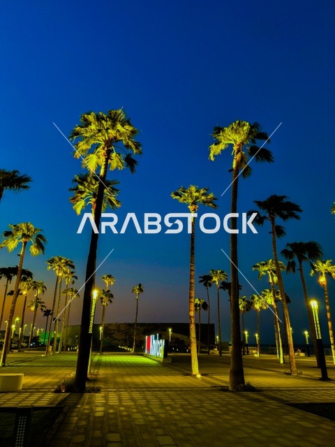 الأماكن السياحية الساحلية المشهورة في المملكة العربية السعودية, اطلالة على كورنيش الخبر في مدينة الدمام،مناطق الرحلات والجولات البحرية الترفيهية, استقطاب وجذب السائحين من جميع أنحاء العالم