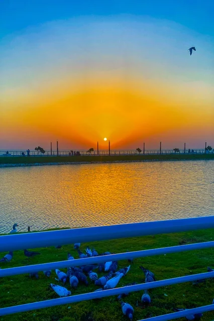 اطلالة على كورنيش الخبر في مدينة الدمام، الأماكن السياحية الساحلية المشهورة في المملكة العربية السعودية, مناطق الرحلات والجولات البحرية الترفيهية, استقطاب وجذب السائحين من جميع أنحاء العالم