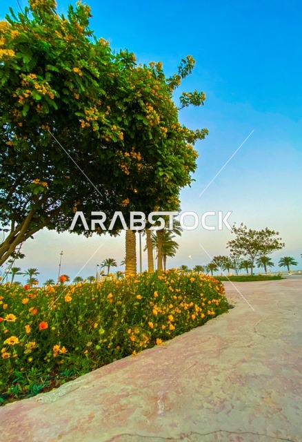 مناطق الرحلات والجولات البحرية الترفيهية, الأعمال الفنية الهندسية المعمارية وسط الطبيعة البحرية، كورنيش الخبر في مدينة الدمام، الأماكن السياحية الساحلية المشهورة في المملكة العربية السعودية, استقطاب وجذب السائحين من جميع أنحاء العالم