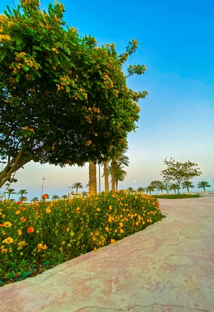 مناطق الرحلات والجولات البحرية الترفيهية, الأعمال الفنية الهندسية المعمارية وسط الطبيعة البحرية، كورنيش الخبر في مدينة الدمام، الأماكن السياحية الساحلية المشهورة في المملكة العربية السعودية, استقطاب وجذب السائحين من جميع أنحاء العالم