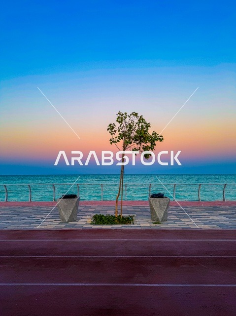 الواجهة البحريه وكورنيش الدمام،أماكن ومعالم ترفيهية عائلية، وجهه سياحية لجذب السياح إلى المملكة العربية السعودية، الأعمال الفنية الهندسية المعمارية وسط الطبيعة البحرية