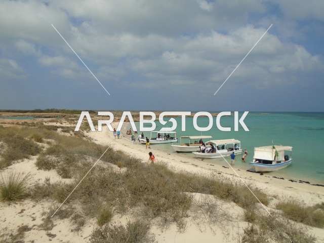 منطقة طبيعية مشهورة لجذب واستقطاب السائحين من أنحاء العالم، جزيرة فرسان جنوب البحر الأحمر بمنطقة جازان في المملكة العربية السعودية ، وجهات سياحية في السعودية ، جزر منطقة جازان .