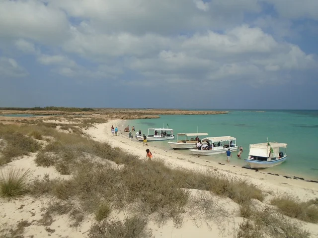 منطقة طبيعية مشهورة لجذب واستقطاب السائحين من أنحاء العالم، جزيرة فرسان جنوب البحر الأحمر بمنطقة جازان في المملكة العربية السعودية ، وجهات سياحية في السعودية ، جزر منطقة جازان .