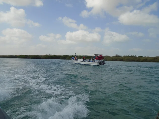 A natural area famous for attracting and drawing tourists from around the world, Farasan Island in the southern Red Sea in the Jazan region of Saudi Arabia, tourist destinations in Saudi Arabia, islands of the Jazan region. A natural area famous for attracting and drawing tourists from around the world, Farasan Island in the southern Red Sea in the Jazan region of Saudi Arabia, tourist destinations in Saudi Arabia, islands of the Jazan region.