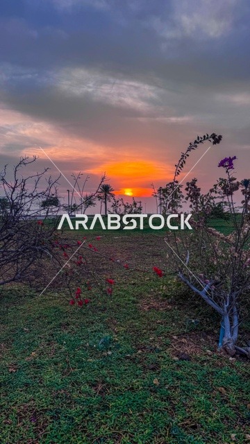 كورنيش الدمام في مدينة الخبر ، الأماكن السياحية الساحلية المشهورة في المملكة العربية السعودية, مناطق الرحلات والجولات البحرية الترفيهية, استقطاب وجذب السائحين من جميع أنحاء العالم
