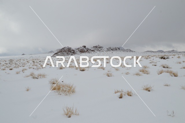 جبال اللوز المثلجة في منطقة تبوك في المملكة العربية السعودية, التضاريس و المناخ في السعوديه, مناظر و أماكن طبيعية سياحية، المناطق الجبلية في السعودية ، صورة من قمة جبل اللوز بمنطقة تبوك ، المرتفعات الجبلية،  وجهة العالم الجديدة في قلب نيوم