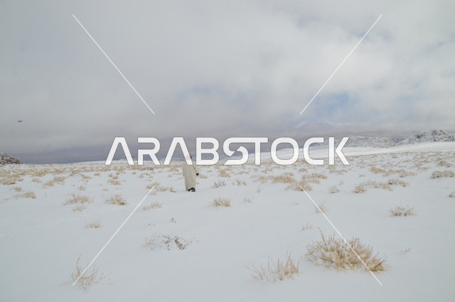 1765778525Dp9KKF2jHh