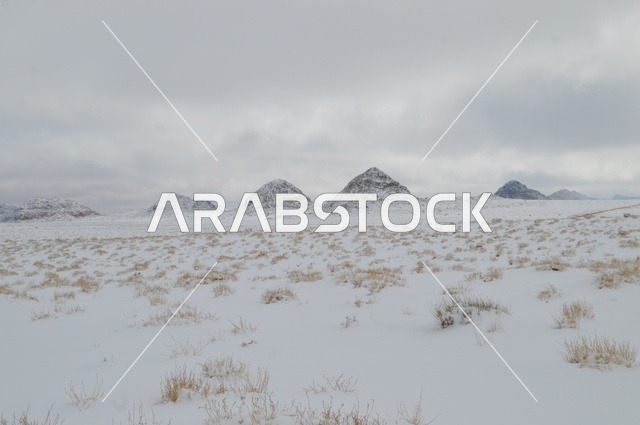 التضاريس و المناخ في السعوديه, جبال اللوز المثلجة في منطقة تبوك في المملكة العربية السعودية,  مناظر و أماكن طبيعية سياحية، المناطق الجبلية في السعودية ، صورة من قمة جبل اللوز بمنطقة تبوك ، المرتفعات الجبلية،  وجهة العالم الجديدة في قلب نيوم