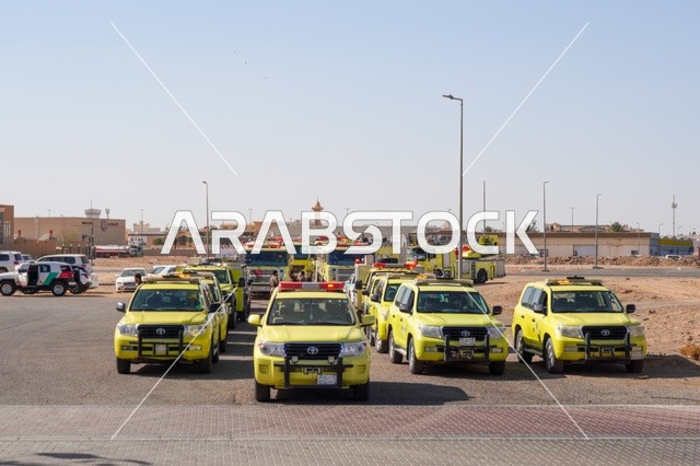 1765694595jCPdfn2LIp