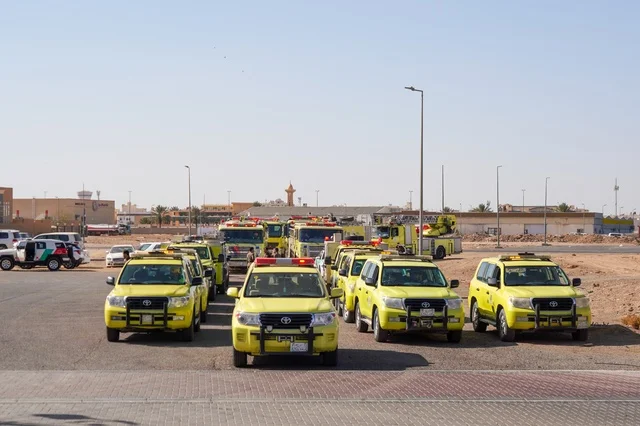 1765694595jCPdfn2LIp