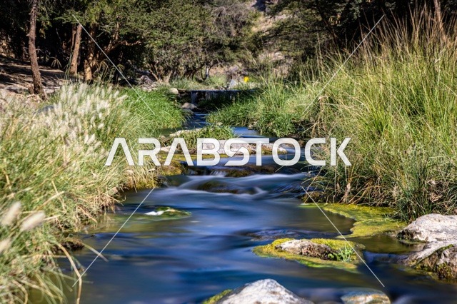 وجهة سياحية شهيرة خاصة بعد هطول الأمطار، معلم طبيعي معروف في منطقة الباحة بالمملكة العربية السعودية، جماله الخلاب ومياهه النقية التي تتدفق من أعالي الجبال، يقصده الزوار للاسترخاء والتنزه والتصوير، أودية وشلالات السعودية , خلفية الطبيعه .