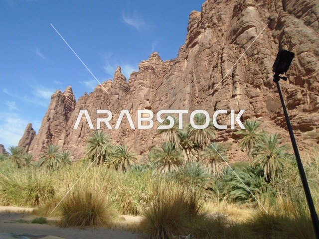 النباتات البرية الخضراء في المناطق الصحراوية، معالم اثرية تاريخية قديمة مشهورة في المملكة العربية السعودية، سلسلة الجبال والتكوينات والتشكلات الصخرية في وادي الديسة في منطقة تبوك، الاهتمام بالزراعة والتشجير في المدن السياحية