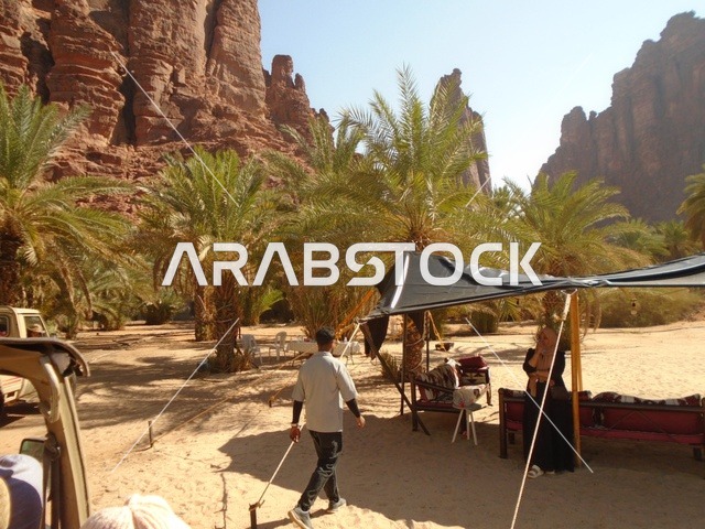 كشتة بر وتخييم في الطبيعة، سلسلة الجبال والتكوينات والتشكلات الصخرية في وادي الديسة في منطقة تبوك، النباتات البرية الخضراء في المناطق الصحراوية، معالم تاريخية قديمة مشهورة في المملكة العربية السعودية، الاهتمام بالزراعة والتشجير في المدن السياحية