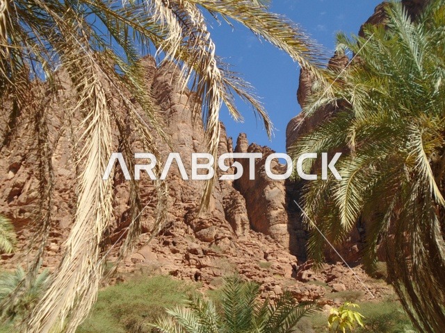 النباتات البرية الخضراء في المناطق الصحراوية، معالم اثرية تاريخية قديمة مشهورة في المملكة العربية السعودية، سلسلة الجبال والتكوينات والتشكلات الصخرية في وادي الديسة في منطقة تبوك، الاهتمام بالزراعة والتشجير في المدن السياحية