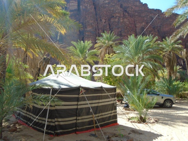 كشتة بر وتخييم في الطبيعة، سلسلة الجبال والتكوينات والتشكلات الصخرية في وادي الديسة في منطقة تبوك، النباتات البرية الخضراء في المناطق الصحراوية، معالم تاريخية قديمة مشهورة في المملكة العربية السعودية، الاهتمام بالزراعة والتشجير في المدن السياحية