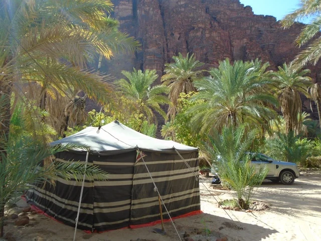 Camping and outdoor activities, the mountain range and rock formations in Wadi Al-Disa in the Tabuk region, green wild plants in desert areas, famous ancient historical landmarks in the Kingdom of Saudi Arabia, and the focus on agriculture and afforestation in tourist cities.