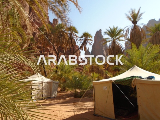 كشتة بر وتخييم في الطبيعة، سلسلة الجبال والتكوينات والتشكلات الصخرية في وادي الديسة في منطقة تبوك، النباتات البرية الخضراء في المناطق الصحراوية، معالم تاريخية قديمة مشهورة في المملكة العربية السعودية، الاهتمام بالزراعة والتشجير في المدن السياحية