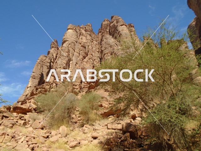 The mountain range and rock formations in Wadi Al-Disa in the Tabuk region, the green wild plants in desert areas, famous ancient historical landmarks in the Kingdom of Saudi Arabia, and the interest in agriculture and afforestation in tourist cities.