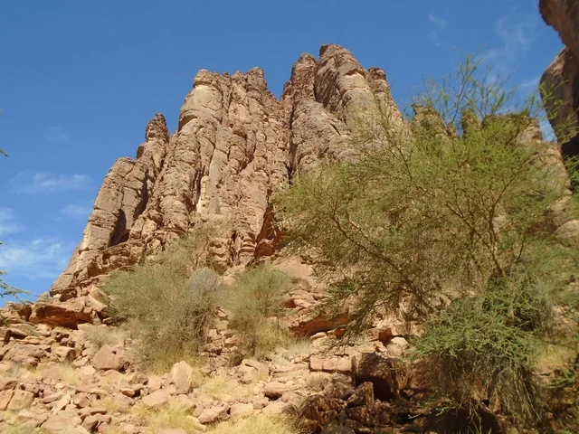 سلسلة الجبال والتكوينات والتشكلات الصخرية في وادي الديسة في منطقة تبوك، النباتات البرية الخضراء في المناطق الصحراوية، معالم تاريخية قديمة مشهورة في المملكة العربية السعودية، الاهتمام بالزراعة والتشجير في المدن السياحية