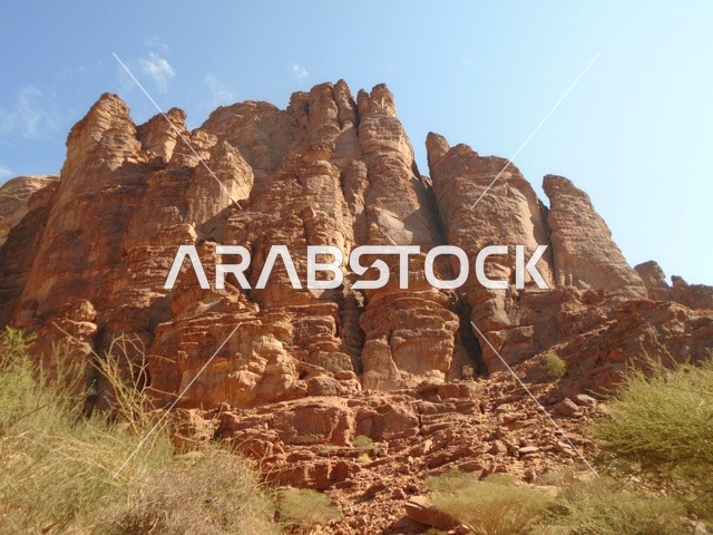 The mountain range and rock formations in Wadi Al-Disa in the Tabuk region, the green wild plants in desert areas, famous ancient historical landmarks in the Kingdom of Saudi Arabia, and the interest in agriculture and afforestation in tourist cities.