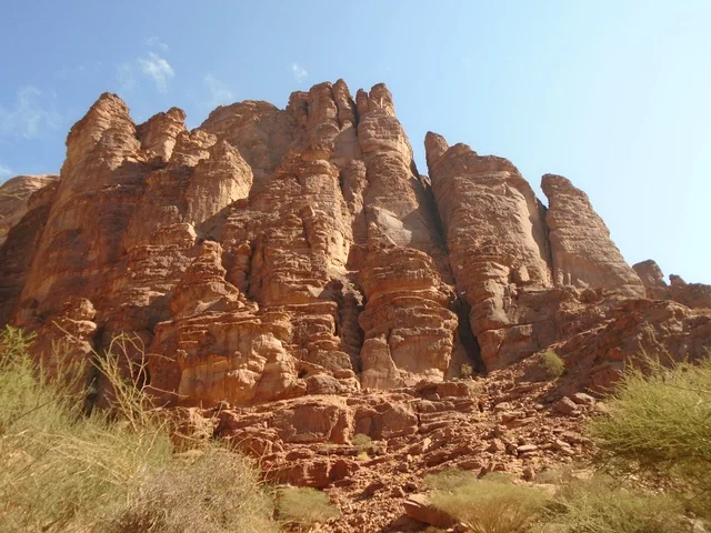 سلسلة الجبال والتكوينات والتشكلات الصخرية في وادي الديسة في منطقة تبوك، النباتات البرية الخضراء في المناطق الصحراوية، معالم تاريخية قديمة مشهورة في المملكة العربية السعودية، الاهتمام بالزراعة والتشجير في المدن السياحية