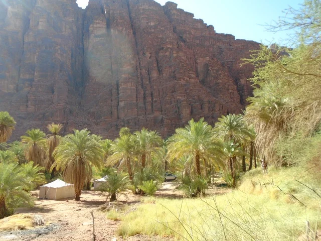 سلسلة الجبال والتكوينات والتشكلات الصخرية في وادي الديسة في منطقة تبوك، النباتات البرية الخضراء في المناطق الصحراوية، معالم تاريخية قديمة مشهورة في المملكة العربية السعودية، الاهتمام بالزراعة والتشجير في المدن السياحية