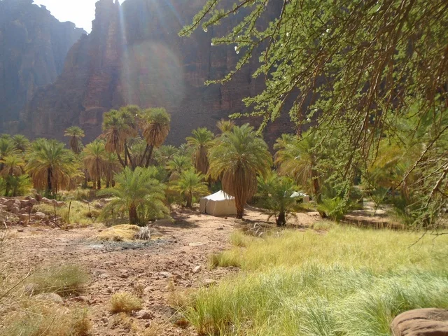 سلسلة الجبال والتكوينات والتشكلات الصخرية في وادي الديسة في منطقة تبوك، النباتات البرية الخضراء في المناطق الصحراوية، معالم تاريخية قديمة مشهورة في المملكة العربية السعودية، الاهتمام بالزراعة والتشجير في المدن السياحية