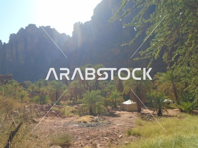 The mountain range and rock formations in Wadi Al-Disa in the Tabuk region, the green wild plants in desert areas, famous ancient historical landmarks in the Kingdom of Saudi Arabia, and the interest in agriculture and afforestation in tourist cities.
