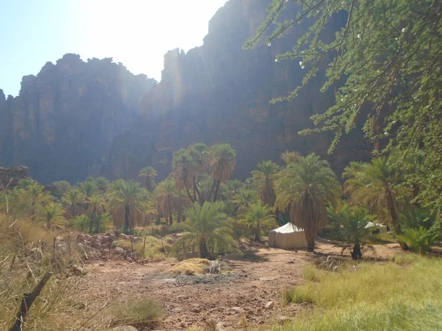 The mountain range and rock formations in Wadi Al-Disa in the Tabuk region, the green wild plants in desert areas, famous ancient historical landmarks in the Kingdom of Saudi Arabia, and the interest in agriculture and afforestation in tourist cities.