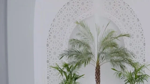 مسجد ديني اسلامي في المملكة العربية السعودية، مكان لاداء العبادة والتقرب لله تعالى، جامع عمرو بن الجموح في حي ابن خلدون (المريكبات) بمدينة الدمام، حديقة طيور داخلية صغيرة، الاهتمام بزراعة النباتات الخضراء في المسجد، الديكور الداخلي على الطراز الاسلامي