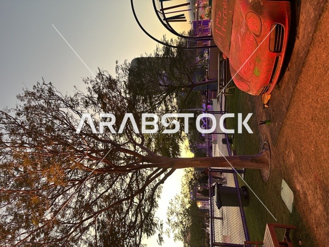 استخدام التقنيات البصرية لتعزيز التجارب الإبداعية بالجبيل الصناعية  ، إدارة الفعاليات النوعية، توظيف الفن المعاصر في الوجهات الترفيهية الموسمية، فعاليات مهرجان تلال العجائب بمدينة الجبيل الصناعية بالمنطقة الشرقية، تفاعل الزوار مع المنحوتات التشكيلية