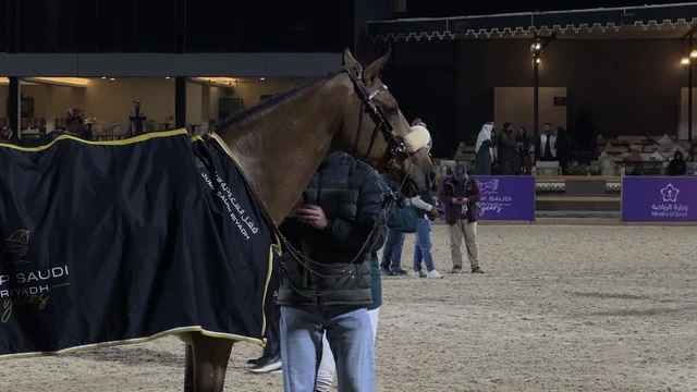 يوم التطوع العالمي 2025 في مركز الملك عبد العزيز الثقافي العالمي (إثراء)، ركوب الخيل في يوم التطوع، مناسبة لشكر المتطوعين على جهودهم والتوعية بمساهماتهم في المجتمع، المملكة العربية السعودية،زيادة الوعي العام حول أهمية العمل التطوعي في التنمية الاجتماعية